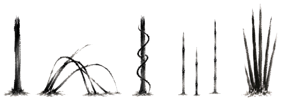 Ink-brush studies of bamboo culms, a climbing stem, and grasses